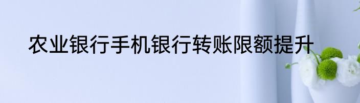 农业银行手机银行转账限额提升