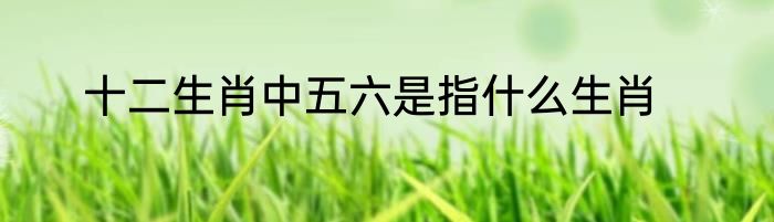 十二生肖中五六是指什么生肖