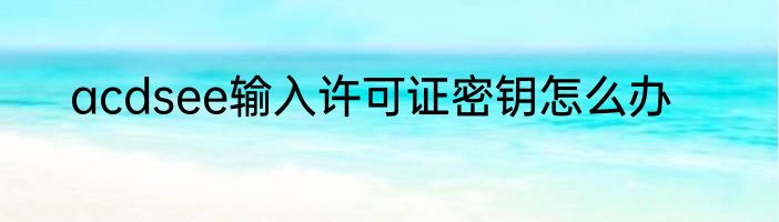 acdsee输入许可证密钥怎么办