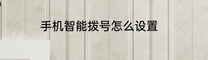 手机智能拨号怎么设置