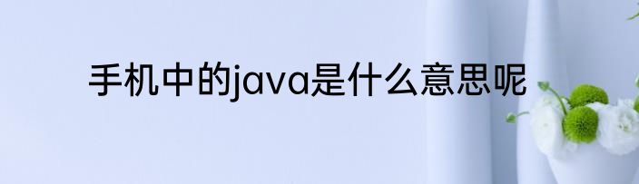 手机中的java是什么意思呢