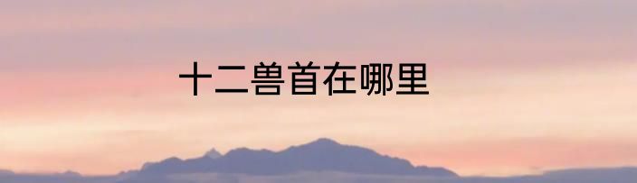 十二兽首在哪里