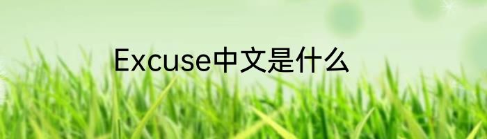 Excuse中文是什么