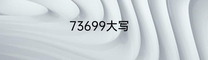 73699大写