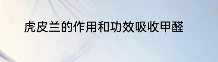 虎皮兰的作用和功效吸收甲醛