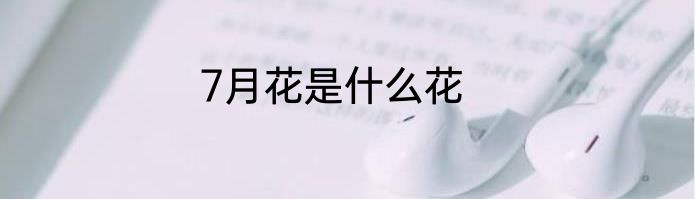 7月花是什么花