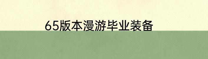 65版本漫游毕业装备