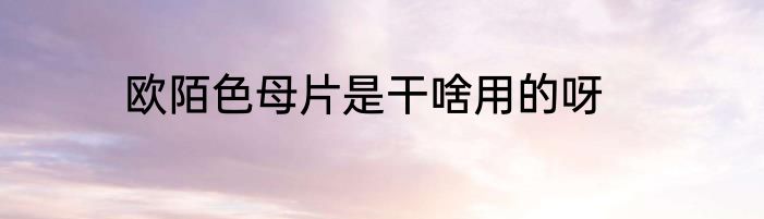 欧陌色母片是干啥用的呀