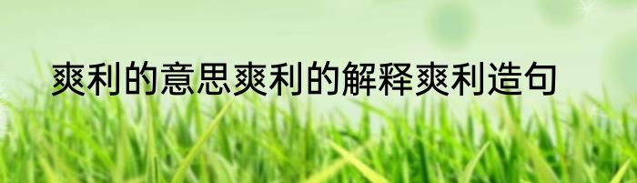 爽利的意思爽利的解释爽利造句