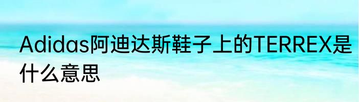 Adidas阿迪达斯鞋子上的TERREX是什么意思