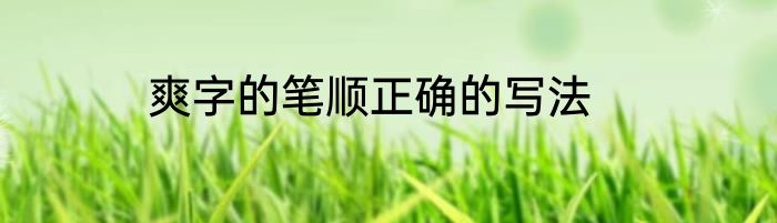 爽字的笔顺正确的写法