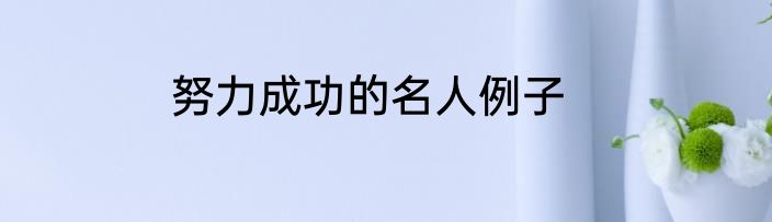 努力成功的名人例子