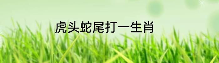 虎头蛇尾打一生肖