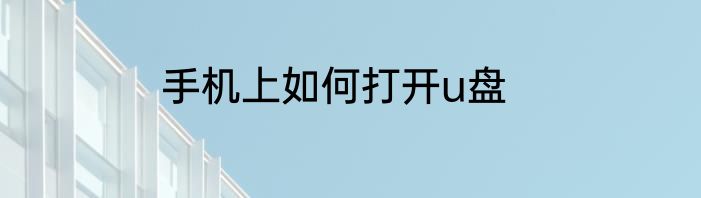 手机上如何打开u盘