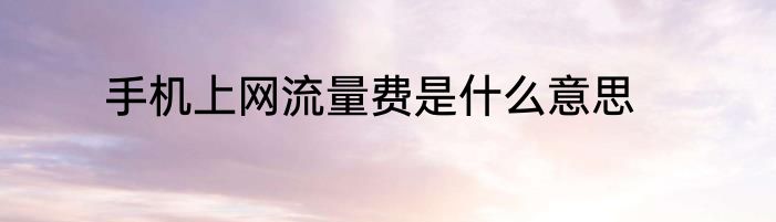 手机上网流量费是什么意思