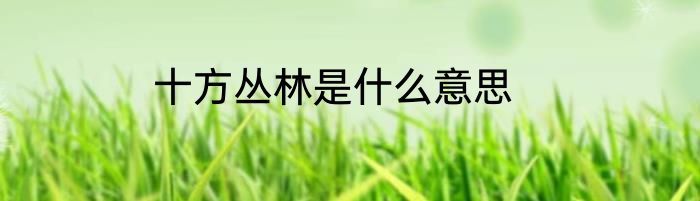十方丛林是什么意思