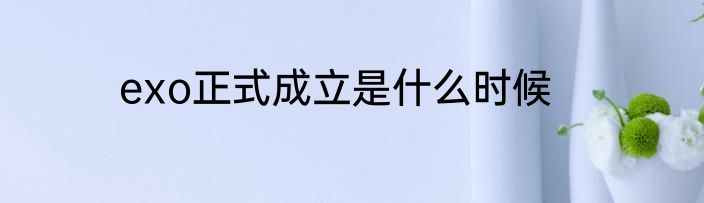 exo正式成立是什么时候