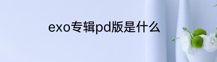 exo专辑pd版是什么