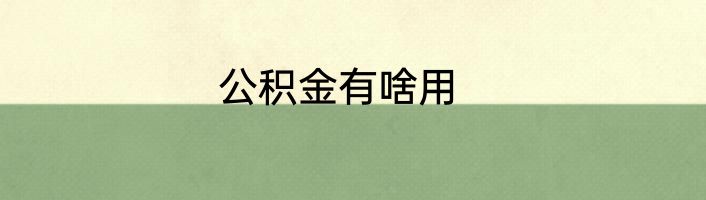 公积金有啥用
