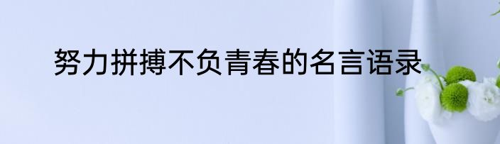 努力拼搏不负青春的名言语录