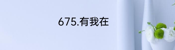 675.有我在