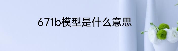 671b模型是什么意思