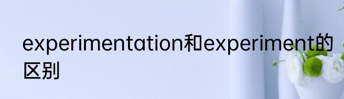 experimentation和experiment的区别