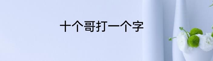 十个哥打一个字