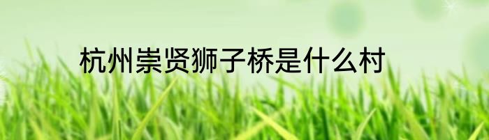杭州崇贤狮子桥是什么村