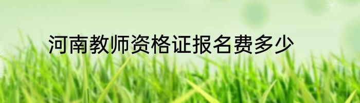 河南教师资格证报名费多少