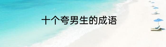 十个夸男生的成语