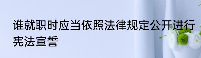谁就职时应当依照法律规定公开进行宪法宣誓
