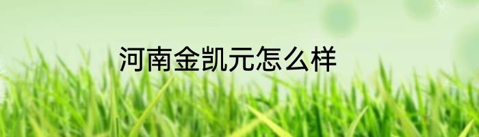 河南金凯元怎么样