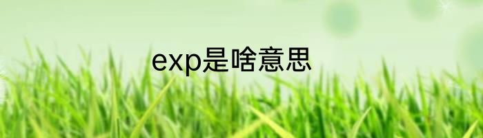 exp是啥意思