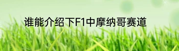 谁能介绍下F1中摩纳哥赛道