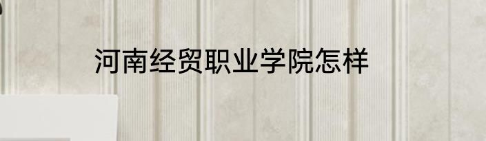 河南经贸职业学院怎样