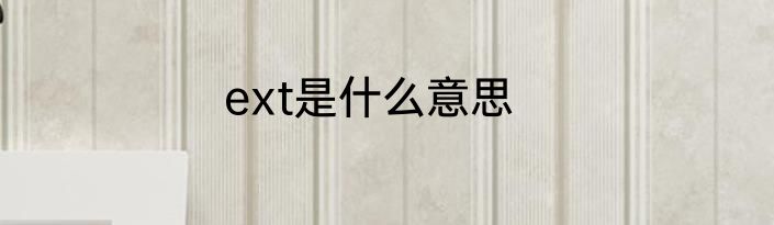 ext是什么意思