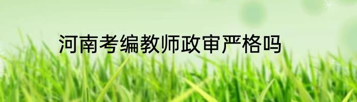 河南考编教师政审严格吗
