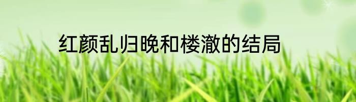 红颜乱归晚和楼澈的结局