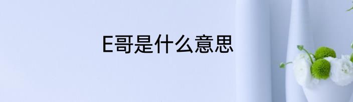 E哥是什么意思