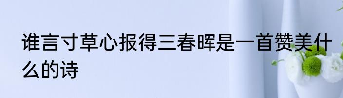 谁言寸草心报得三春晖是一首赞美什么的诗