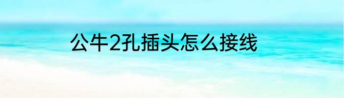 公牛2孔插头怎么接线