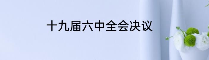 十九届六中全会决议