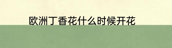 欧洲丁香花什么时候开花