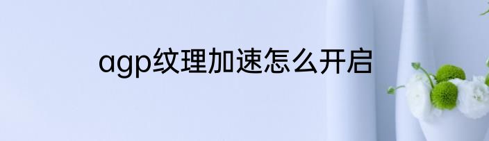agp纹理加速怎么开启