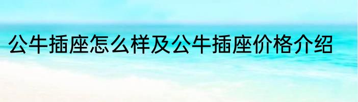 公牛插座怎么样及公牛插座价格介绍