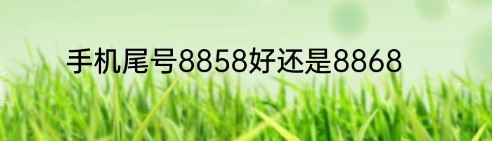 手机尾号8858好还是8868