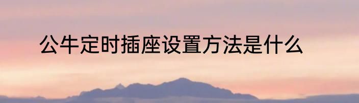 公牛定时插座设置方法是什么