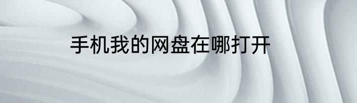 手机我的网盘在哪打开