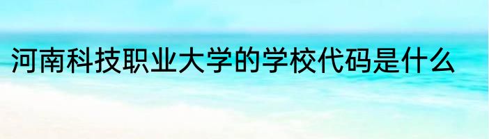 河南科技职业大学的学校代码是什么